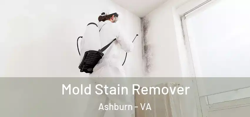  Mold Stain Remover Ashburn - VA