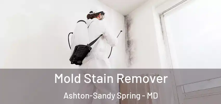 Mold Stain Remover Ashton-Sandy Spring - MD