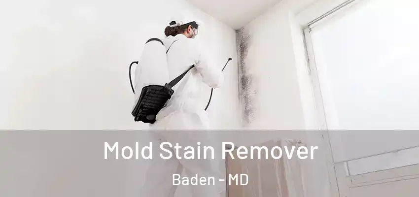  Mold Stain Remover Baden - MD