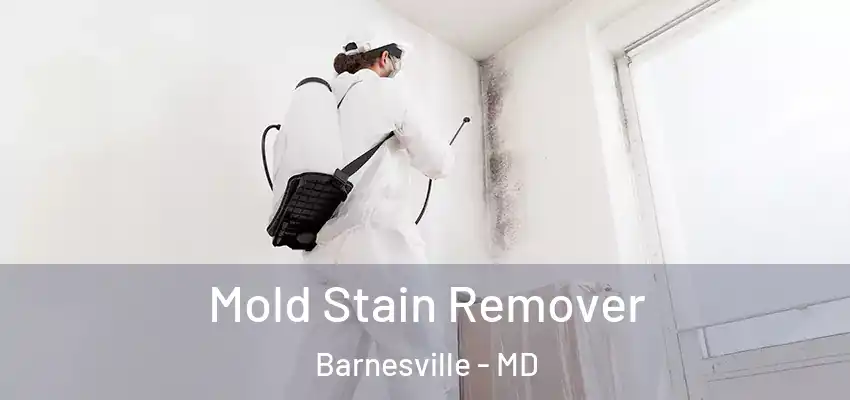 Mold Stain Remover Barnesville - MD