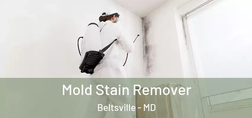  Mold Stain Remover Beltsville - MD