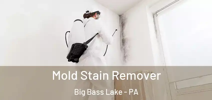  Mold Stain Remover Big Bass Lake - PA
