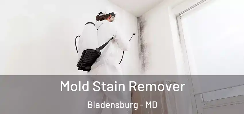  Mold Stain Remover Bladensburg - MD