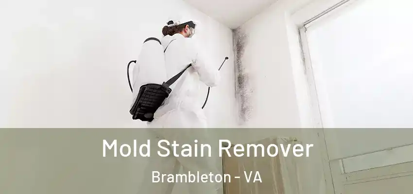 Mold Stain Remover Brambleton - VA