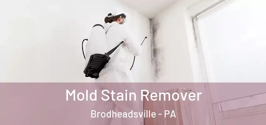  Mold Stain Remover Brodheadsville - PA