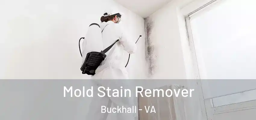  Mold Stain Remover Buckhall - VA