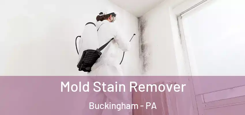 Mold Stain Remover Buckingham - PA