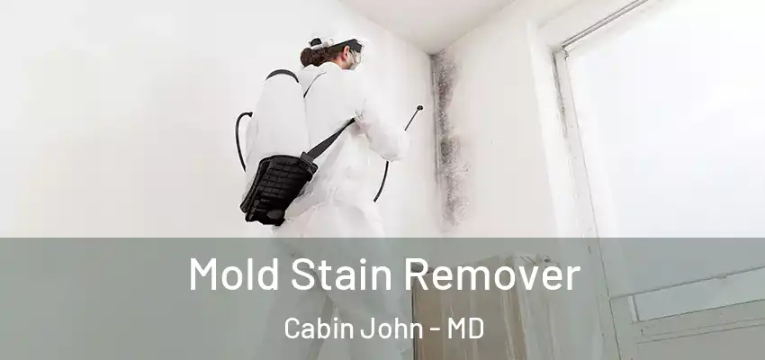 Mold Stain Remover Cabin John - MD