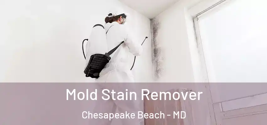  Mold Stain Remover Chesapeake Beach - MD