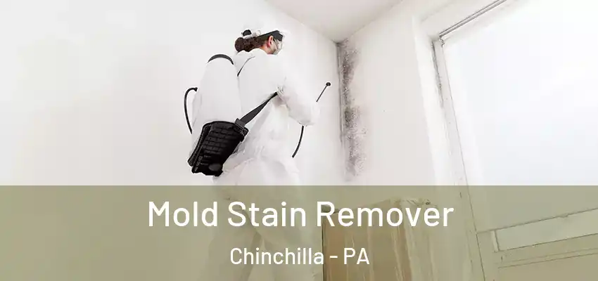  Mold Stain Remover Chinchilla - PA