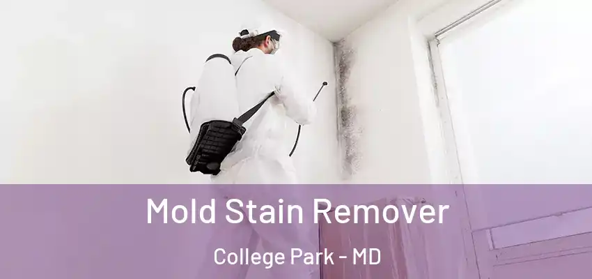  Mold Stain Remover College Park - MD