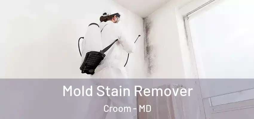 Mold Stain Remover Croom - MD