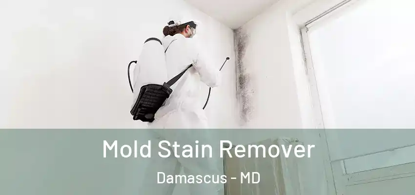 Mold Stain Remover Damascus - MD