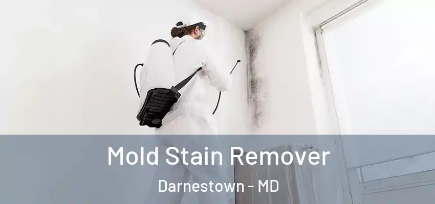  Mold Stain Remover Darnestown - MD