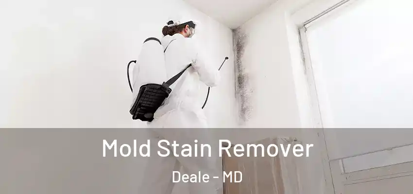 Mold Stain Remover Deale - MD