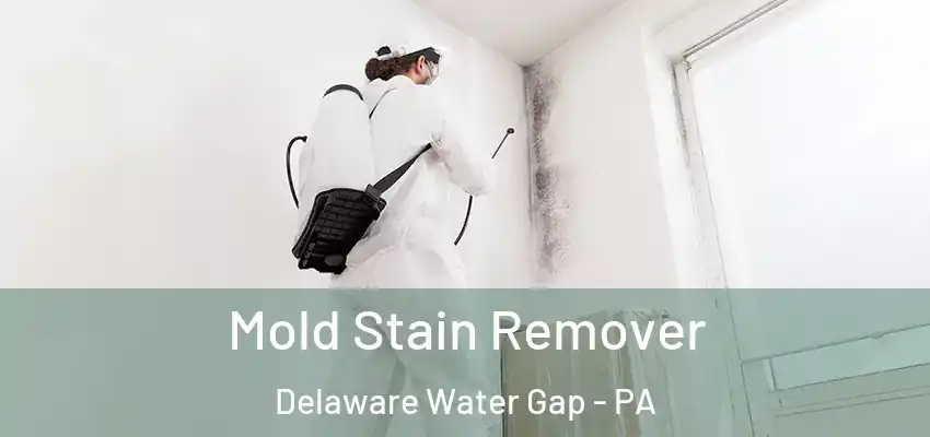 Mold Stain Remover Delaware Water Gap - PA