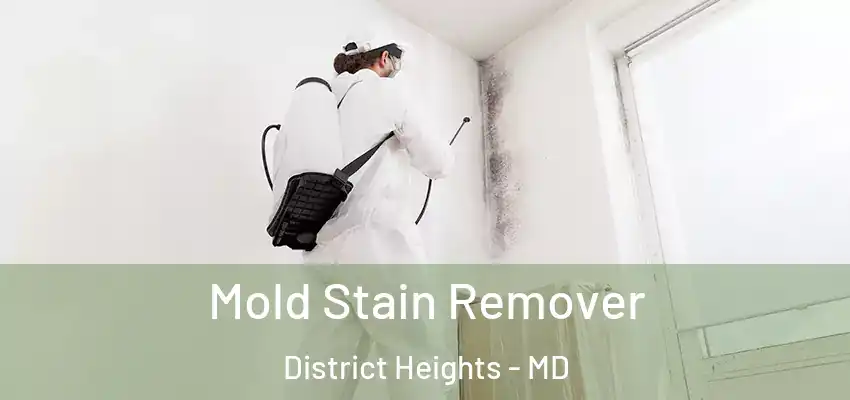 Mold Stain Remover District Heights - MD