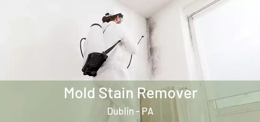  Mold Stain Remover Dublin - PA