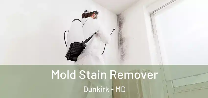 Mold Stain Remover Dunkirk - MD