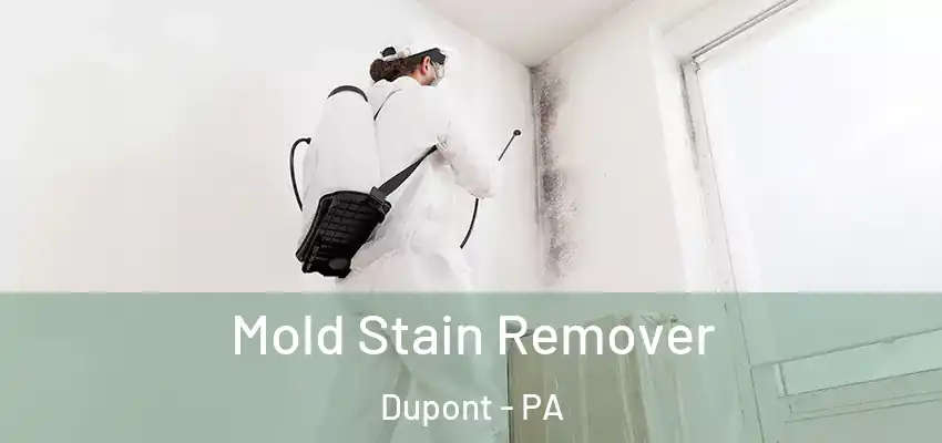 Mold Stain Remover Dupont - PA