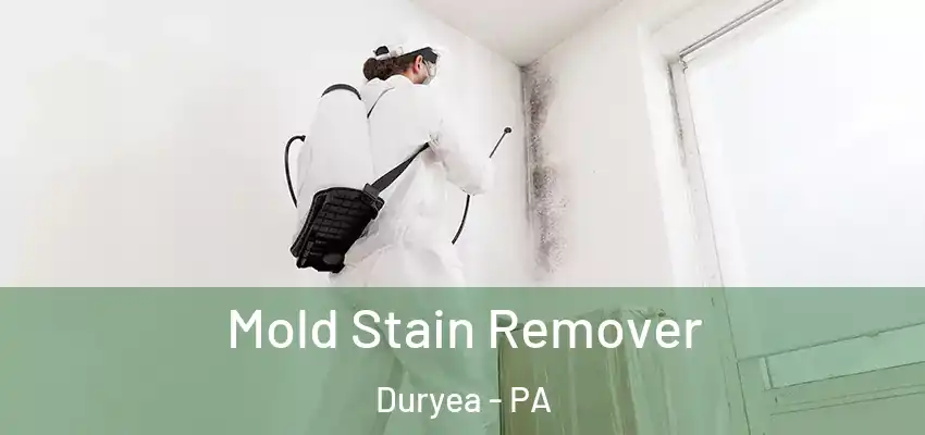 Mold Stain Remover Duryea - PA