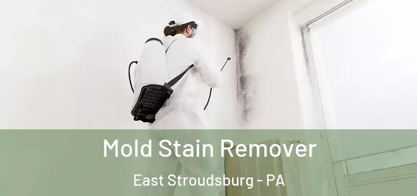  Mold Stain Remover East Stroudsburg - PA