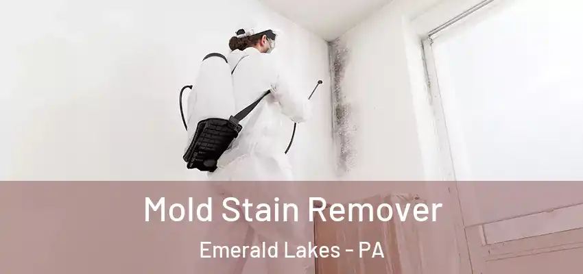 Mold Stain Remover Emerald Lakes - PA