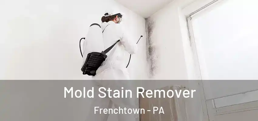 Mold Stain Remover Frenchtown - PA