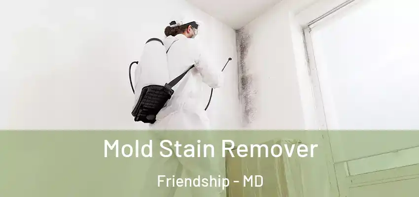 Mold Stain Remover Friendship - MD