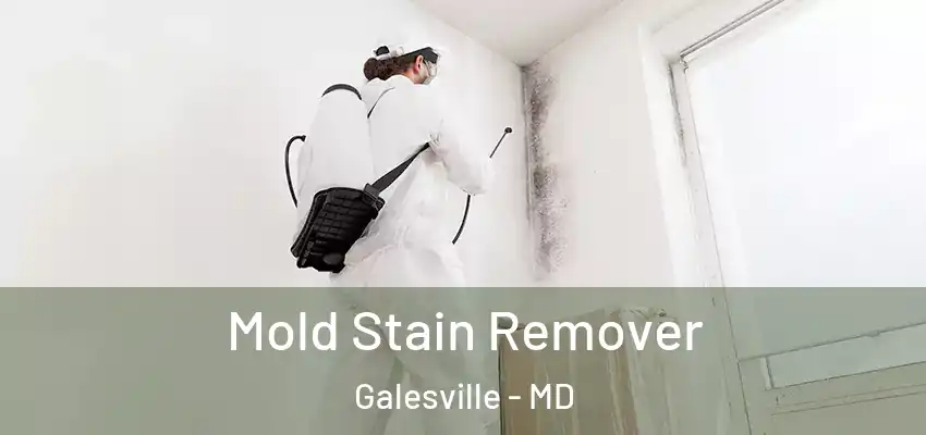 Mold Stain Remover Galesville - MD