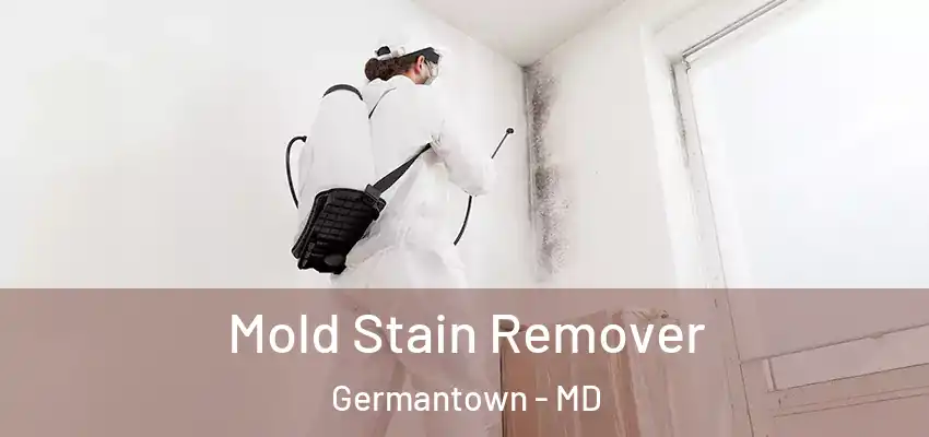 Mold Stain Remover Germantown - MD