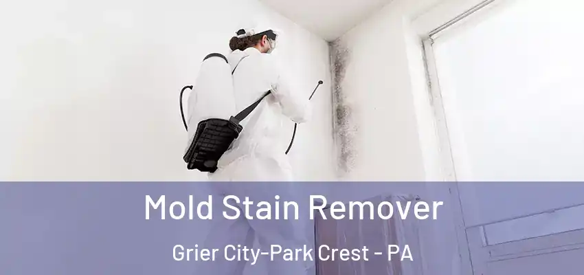 Mold Stain Remover Grier City-Park Crest - PA