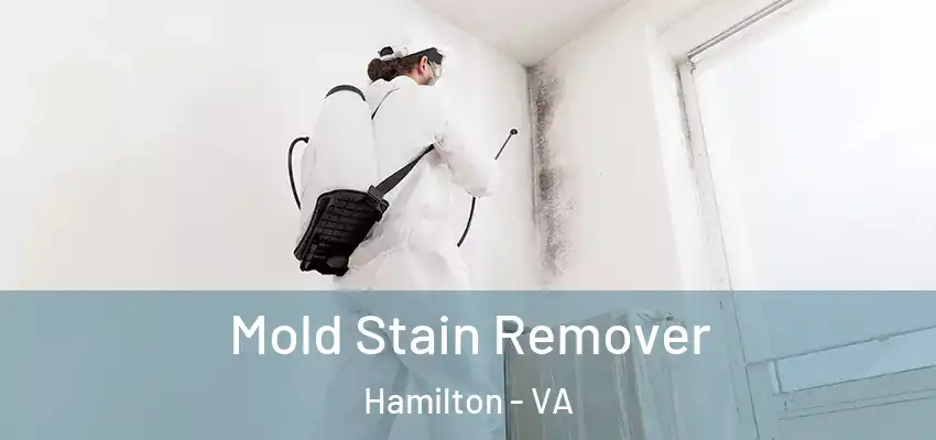 Mold Stain Remover Hamilton - VA