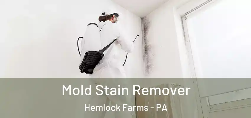 Mold Stain Remover Hemlock Farms - PA