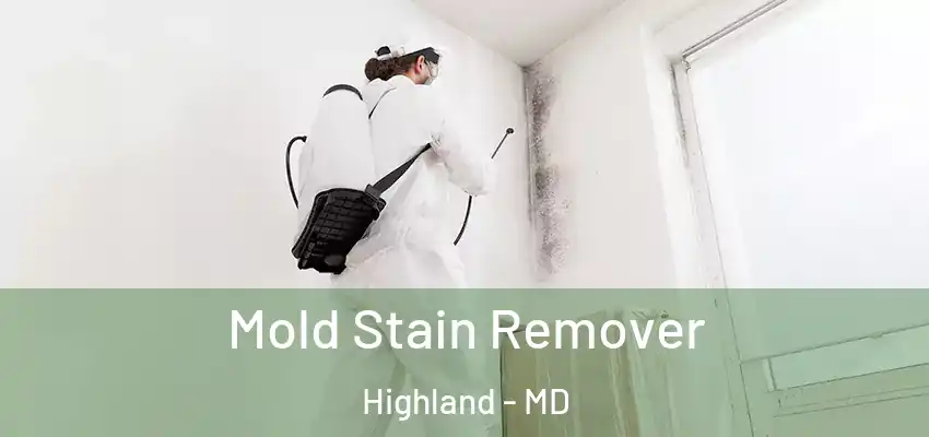 Mold Stain Remover Highland - MD