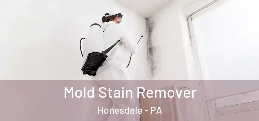 Mold Stain Remover Honesdale - PA