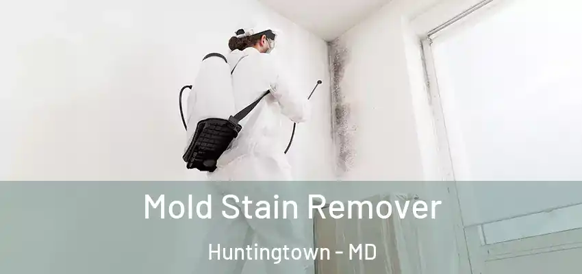 Mold Stain Remover Huntingtown - MD