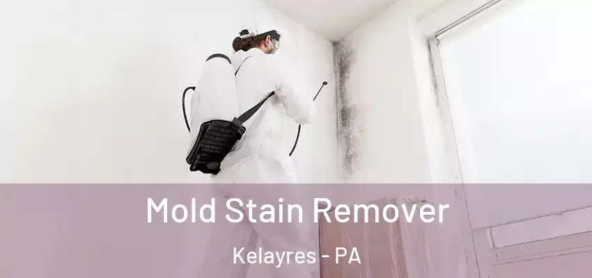Mold Stain Remover Kelayres - PA