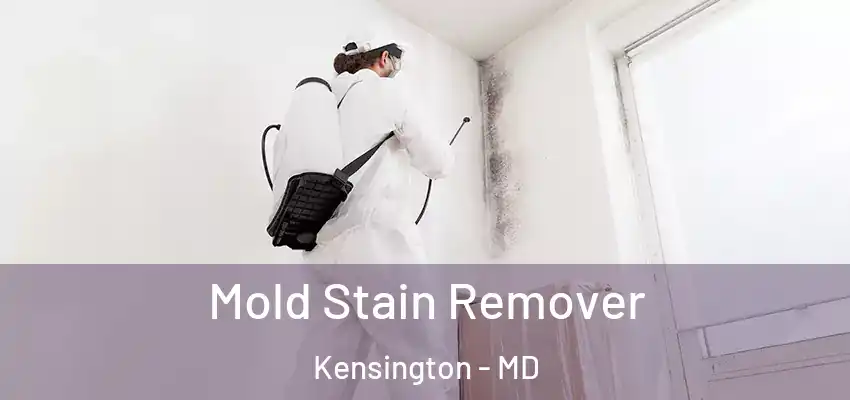 Mold Stain Remover Kensington - MD