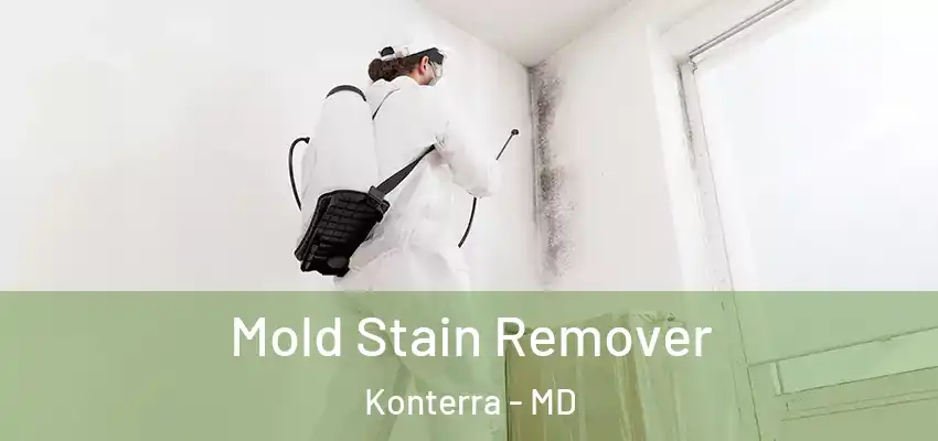 Mold Stain Remover Konterra - MD