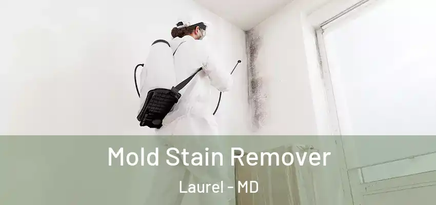 Mold Stain Remover Laurel - MD