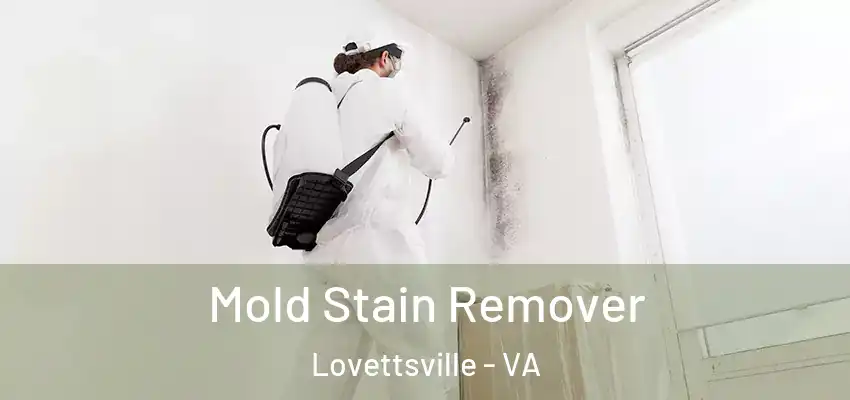 Mold Stain Remover Lovettsville - VA
