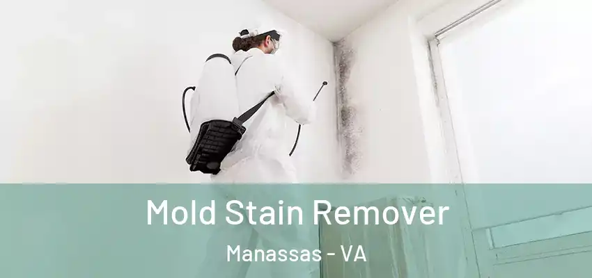  Mold Stain Remover Manassas - VA
