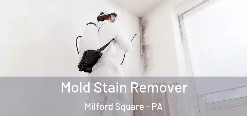 Mold Stain Remover Milford Square - PA