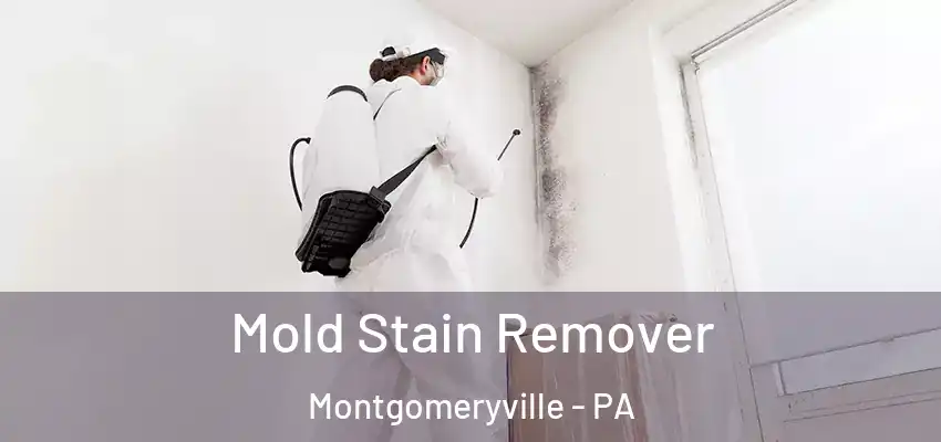 Mold Stain Remover Montgomeryville - PA
