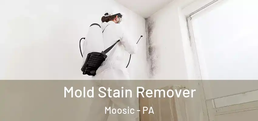 Mold Stain Remover Moosic - PA