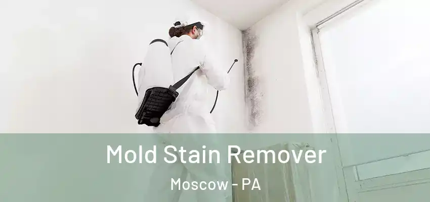 Mold Stain Remover Moscow - PA