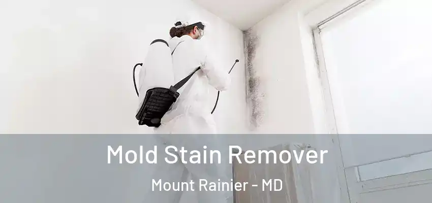 Mold Stain Remover Mount Rainier - MD
