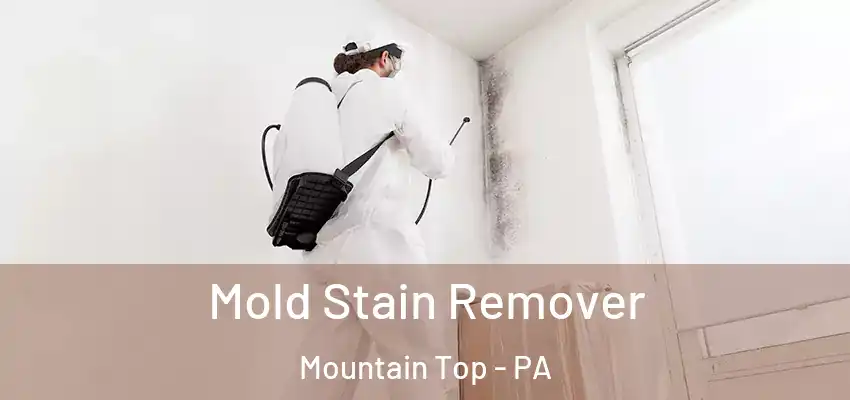  Mold Stain Remover Mountain Top - PA