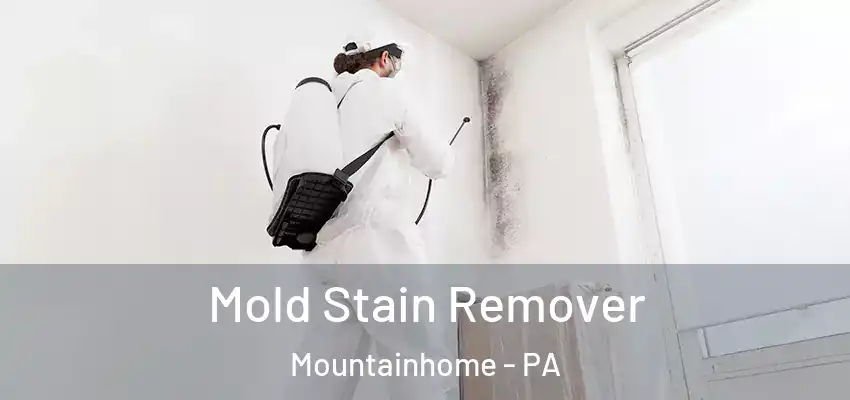 Mold Stain Remover Mountainhome - PA
